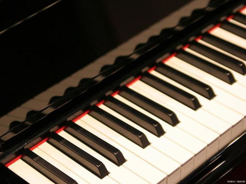 鋼琴調律師證書有什么用,怎么報名的