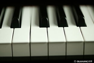 鋼琴 黑白鍵間的永恒樂章
